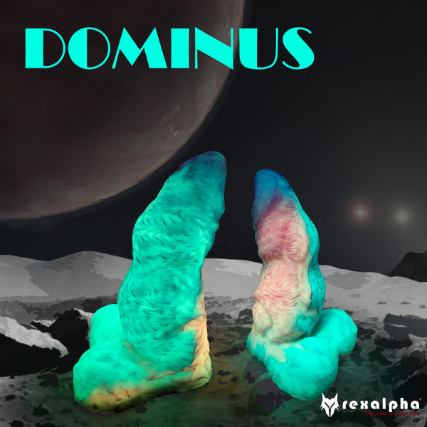Dominus - Custom build